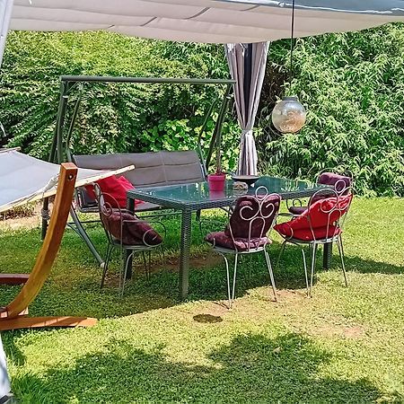 Camping Under The Walnut In Your Own Tent On A Shared Lot And Shared Bathroom Liubliana Exterior foto