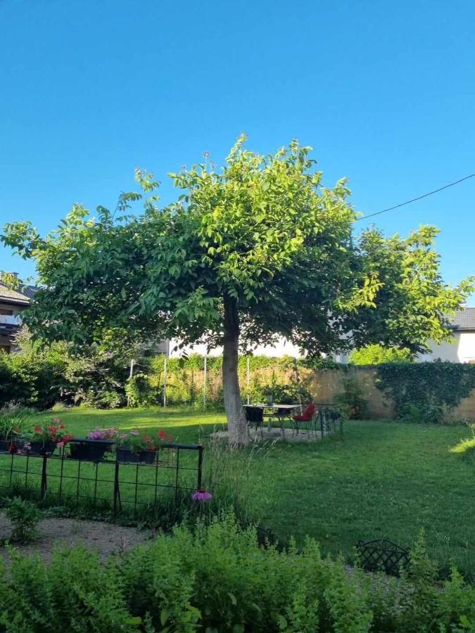 Camping Under The Walnut In Your Own Tent On A Shared Lot And Shared Bathroom Liubliana Exterior foto
