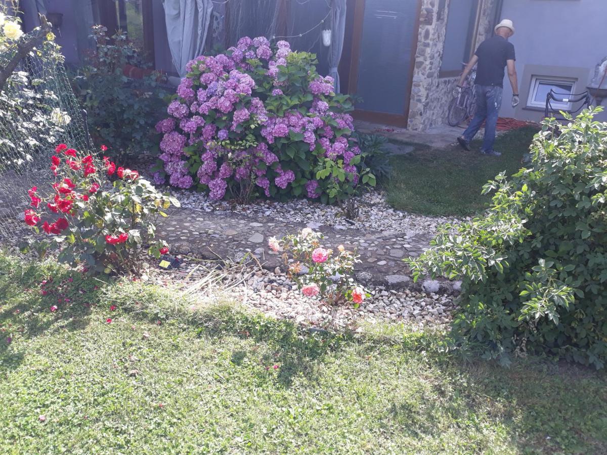 Camping Under The Walnut In Your Own Tent On A Shared Lot And Shared Bathroom Liubliana Exterior foto